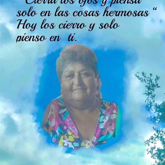 lizconejo